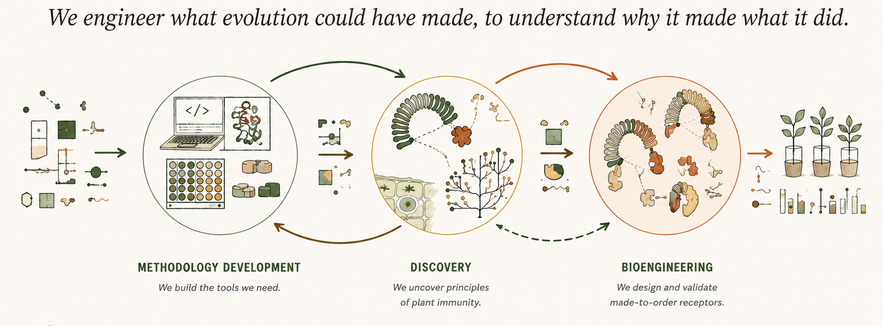 The three Kourelis Lab research pillars — Methodology development, Discovery, and Bioengineering — shown as a cycle with the lab tagline above them.